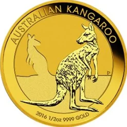Australien Känguru 1/2 Oz Gold 2016