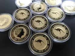 Australien Känguru 5 Oz Gold 2015