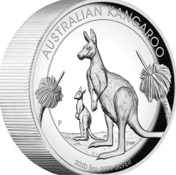 Australien Känguru 5 Oz Silber High Relief 2020 +Box +COA*