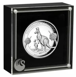 Australien Känguru 5 Oz Silber High Relief 2020 +Box +COA*