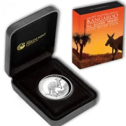 Australien Känguru 1 Oz Silber 2017 High Relief *