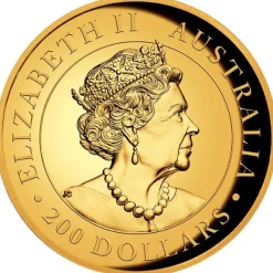 Australien Känguru 2 Unzen Goldmünze High Relief 2021