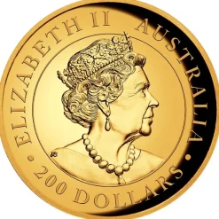 Australien Känguru 2 Unzen Goldmünze High Relief 2022