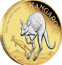 Australien Känguru 2 Unzen Silber Reverse Gilded + Box + COA (Umverpackung beschädigt !! )*
