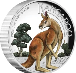 Australien Känguru 1 Unze Silber High Relief farbig 2023 + Box +COA*