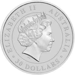 Australien Koala 1 KG Silber 2013 *
