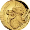 Australien Koala 1 Unze Gold High Relief 2023 +Box +COA