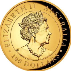 Australien Koala 1 Unze Gold High Relief 2022 +Box +COA