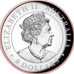 Australien Koala 5 Unzen High Reilef gilded 2021 +Box +COA*