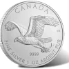 Birds of Prey - Bald Eagle - 1 Oz Silber 2014*