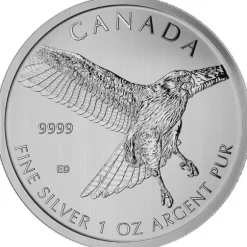 Birds of Prey - Bussard 1 Oz Silber 2015*