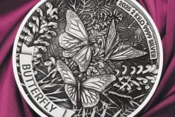 Butterfly 2 KG Silber Antik Finish 2025 +Box +COA