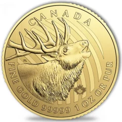 Call of the Wild - Elch - 1 Oz Gold 2017