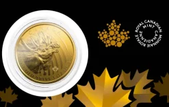 Call of the Wild - Moose - 1 Oz Gold 2019