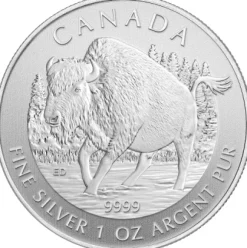 Canadian Wildlife - Bison - 1 Oz Silber 2013*