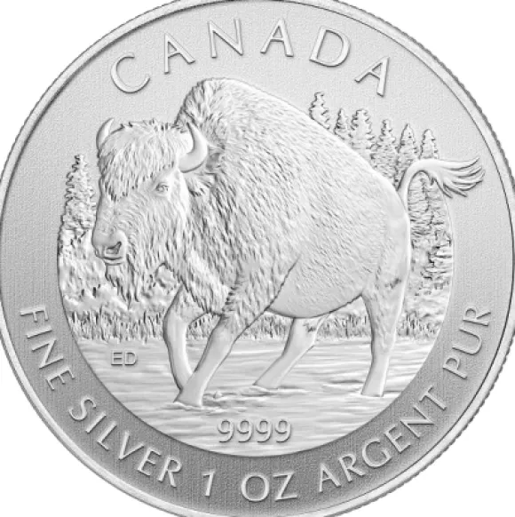 Canadian Wildlife - Bison - 1 Oz Silber 2013*