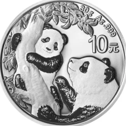 China Panda 30 Gramm Silber 2021*