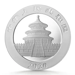 China Panda 30 Gramm Silber 2020*