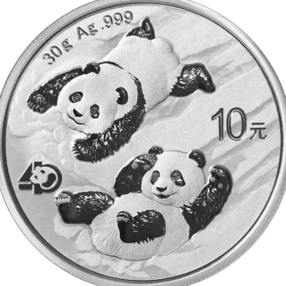 China Panda 30 Gramm Silber 2022*