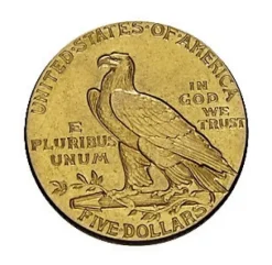 5 Dollar Indian Head 7,52 Gramm verschiedene Jahrgänge