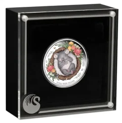 Dreaming Down Under - Koala - 1/2 Unze Silber Proof + Box +COA*
