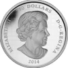 Eyes of the Snowy Owl 1 KG Silber Proof 2014 +Box +Zertifikat*