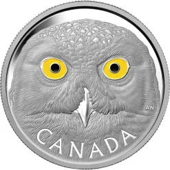 Eyes of the Snowy Owl 1 KG Silber Proof 2014 +Box +Zertifikat*