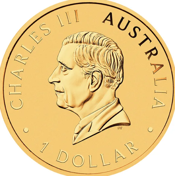 Hobart ANDA Money Expo Special 40 Jahre Australien Nugget 1 Oz Silber 2026 vergoldet Proof*