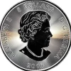 Kanada Predator - Puma - 1 Oz Silber 2016 *