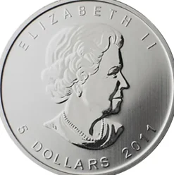 Kanada Wildlife - Grizzly -1 Oz Silber 2011*