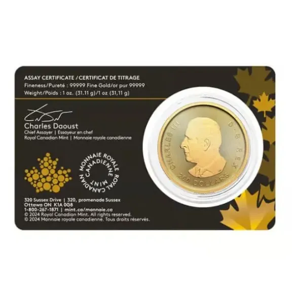 Klondike Gold Rush - From Dore to refined Gold - 1 Unze Gold 2024