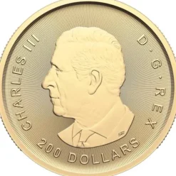 Klondike Gold Rush - From Dore to refined Gold - 1 Unze Gold 2024