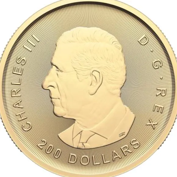 Klondike Gold Rush - From Dore to refined Gold - 1 Unze Gold 2024