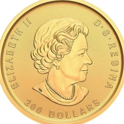 Klondike Goldrush - Prospecting for Gold - 1 Oz Gold 2022