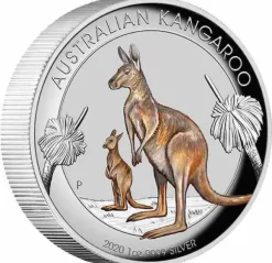 Känguru 1 Oz Silber High Relief farbig 2020 +Box +COA*