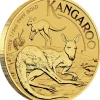 Känguru 1/2 Unze Gold 2025