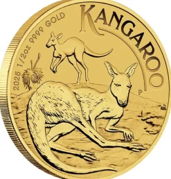 Känguru 1/2 Unze Gold 2025