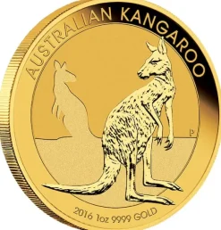 Känguru 1 Unze Goldmünze 2016