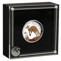 Känguru 1 Unze Silber High Relief farbig +Box +COA*