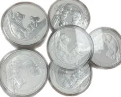 Koala 1 KG Silber verschiedene Jahrgänge B-Ware *