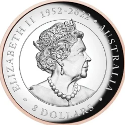 Koala 5 Unzen Silber High Relief Vergoldet 2023 +Box +COA *