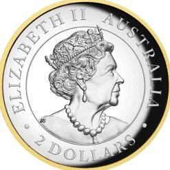 Kookaburra - High Relief - Gilded - 2 Unzen Silber 2022 +Box !! Zertifikat fehlt !! *