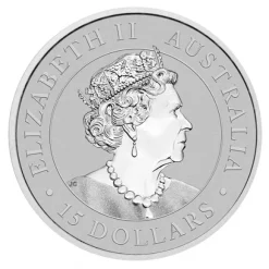 Kookaburra 1/10 Oz Platin 2022 *