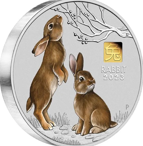 Lunar 3 - Hase - 1 KG Silber Privy Mark Gold 2023 + Box + COA*