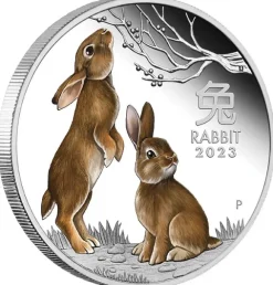 Lunar 3 - Hase - 1 Unze Silber Proof farbig 2023 + Box +COA*