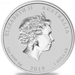 Lunar II - Schwein - 1 Oz Silber gilded 2019 +Box +COA*