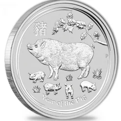 Lunar II Schwein Typeset Silber 2019 +Box +COA*
