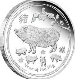 Lunar II Schwein Typeset Silber 2019 +Box +COA*