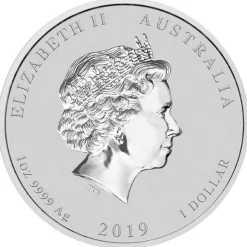 Lunar II Schwein Typeset Silber 2019 +Box +COA*