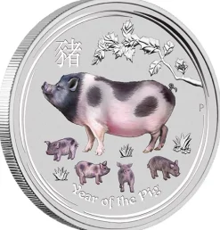 Lunar II Schwein Typeset Silber 2019 +Box +COA*